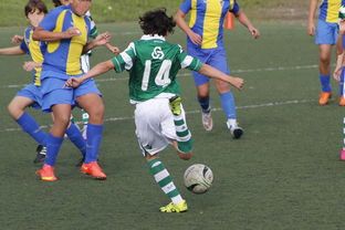 开云体育官网在线-中国足球亚冠：上海申花逆转晋级，燃爆现场热潮，亚冠小组赛上海申花